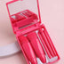 5pcs Mini Travel Makeup Brush Set.